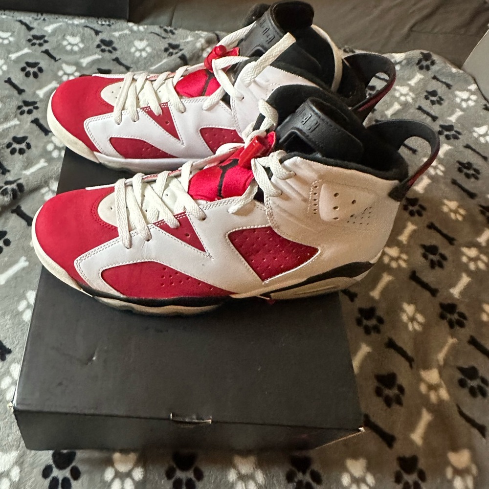 Jordan Carmine 6’s